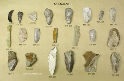 Ms-100-Set Web-Lg