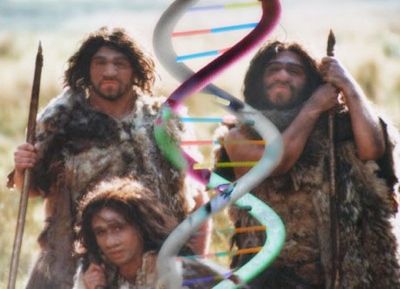 1240Neanderthal