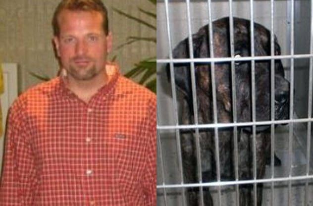 9-craig-Sytsma-cane-corso