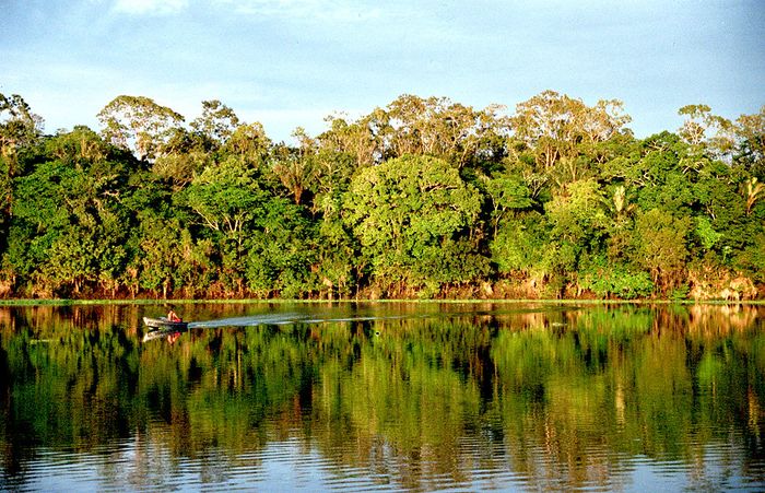 https://upload.wikimedia.org/wikipedia/commons/thumb/e/ef/Amazonia.jpg/1024px-Amazonia.jpg