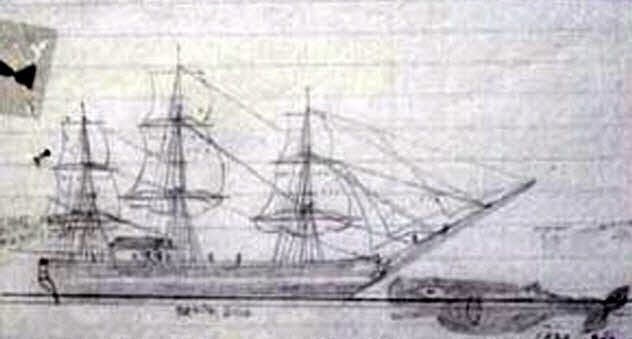 10b-essex-illustration