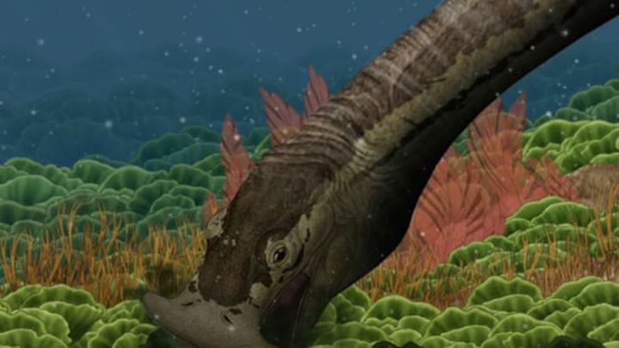 (c) Y. Chen, Institute of Vertebrate Paleontology and Paleoanthropology