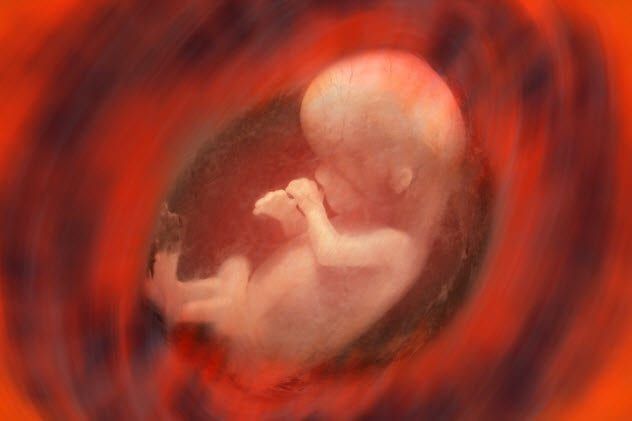 9-baby-in-the-womb-518355640