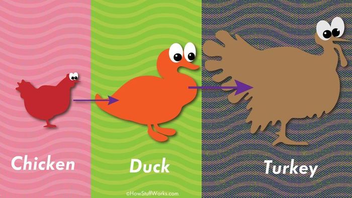 Turducken