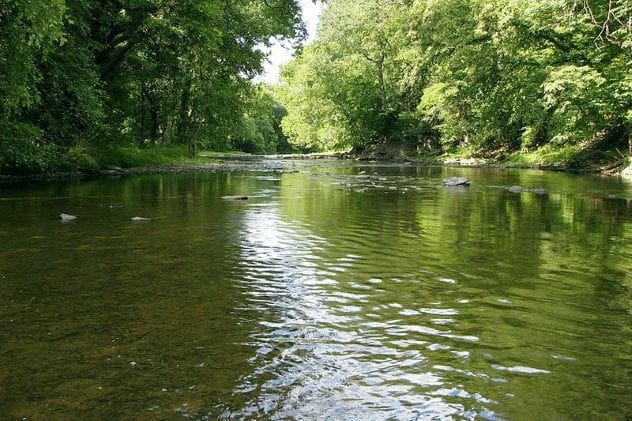 neshaminy-creek
