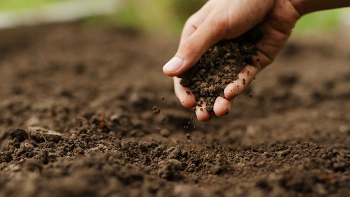 Manually inspecting soil