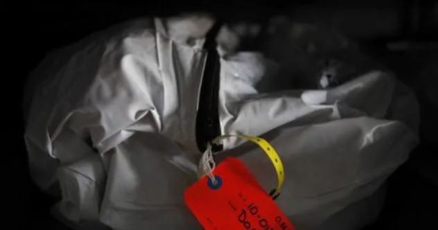 1-body-bag