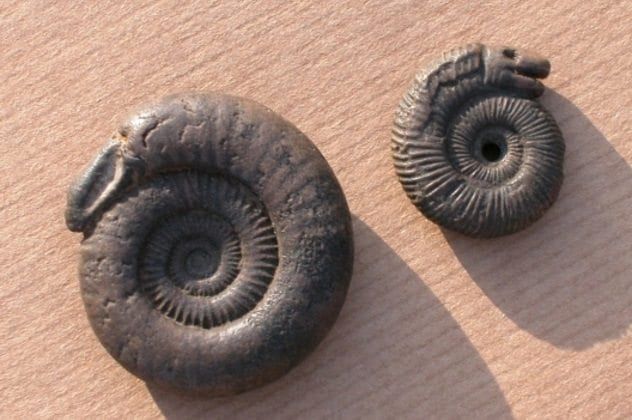 snakestones