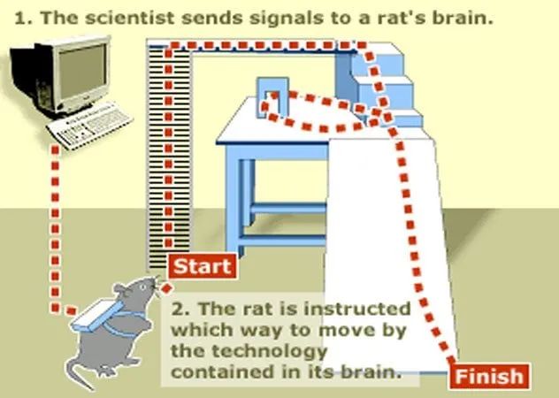 9-remote-controlled-rat