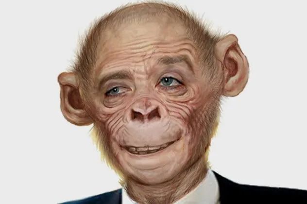 4a-humanzee
