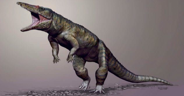 6a-butcher-crocodile