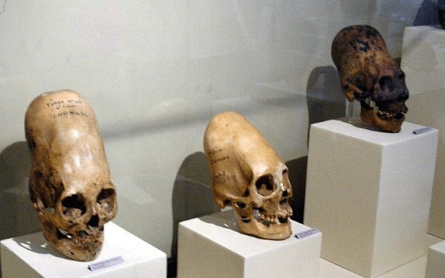 paracas-skulls