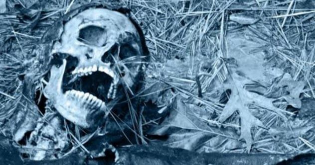 8-the-dead-decay