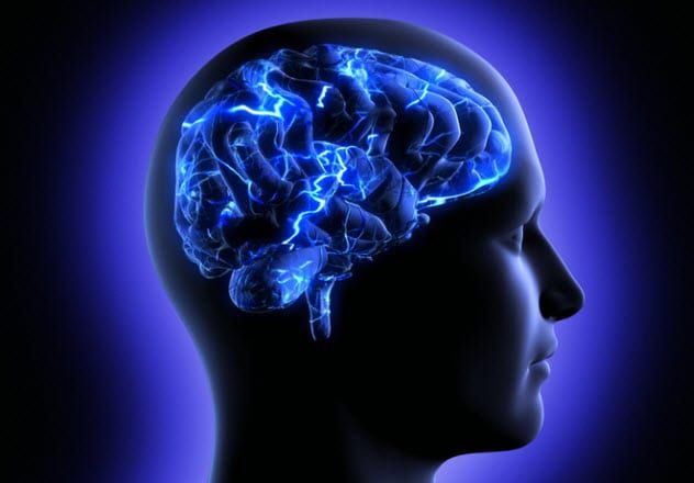 10a-brain-function_20049241_SMALL