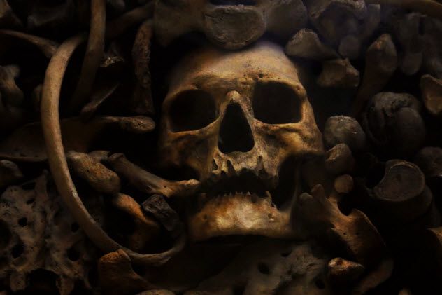 3-vampire-skull_77141677_SMALL