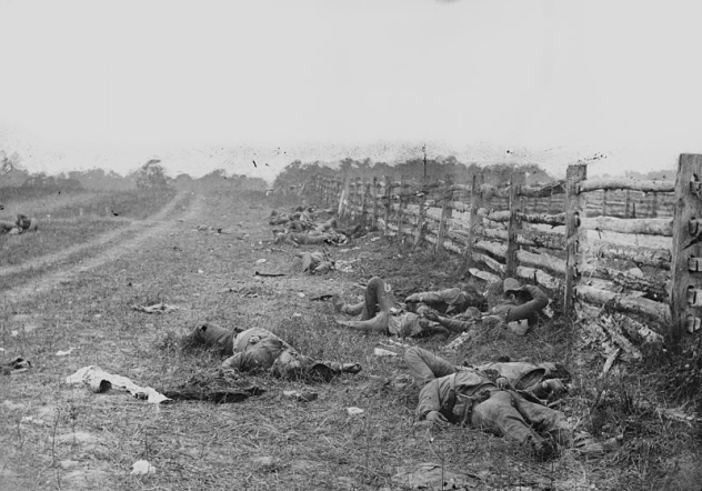 Dead from Antietam