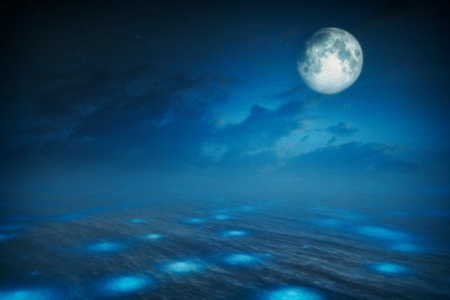 iStock_33674856_SMALL