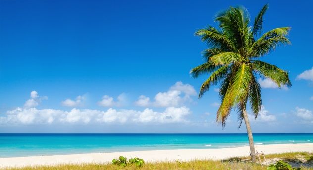 iStock_66077259_SMALL