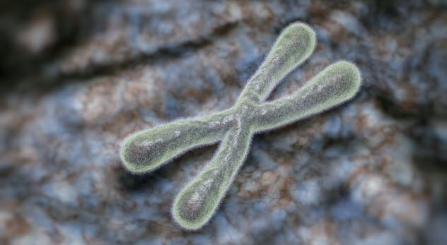 3-telomeres_000086514227_Small