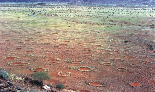 4-fairy-circles