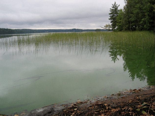 lake-bodom