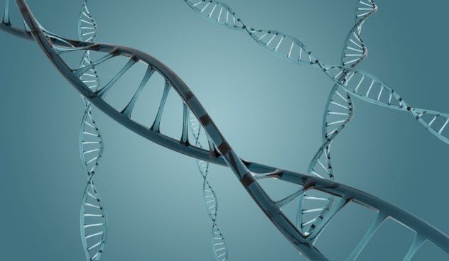 1-dna-molecules_000062361942_Small