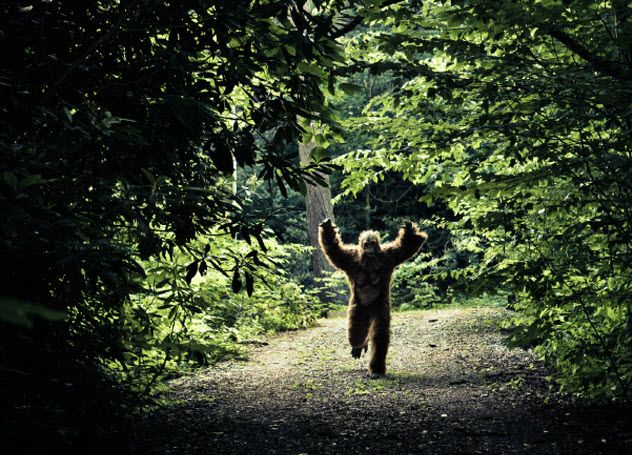 5-bigfoot_000013695075_Small