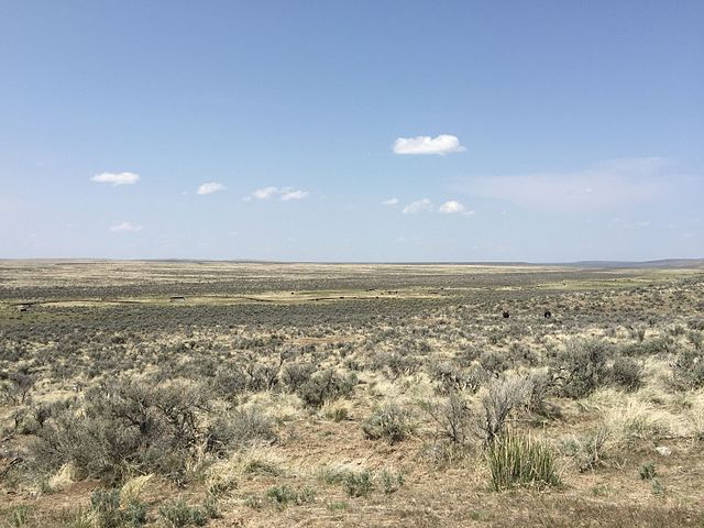 2015-04-22_13_11_19_View_northwest_into_the_Owyhee_Desert_from_IL_Ranch_Road_(Elko_County_Route_730)_about_32.0_miles_east_of_Midas_Road_(Elko_County_Route_724)_near_Fourmile_Creek_in_Elko_County,_Nevada