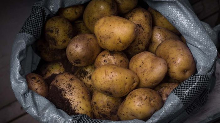a large bag of potatoes