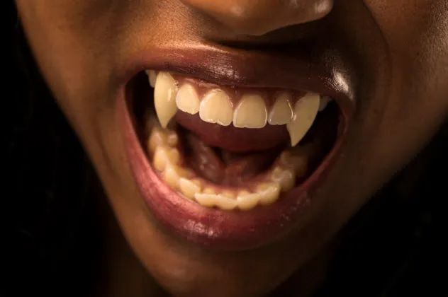 2-african-vampire_000026529462_Small