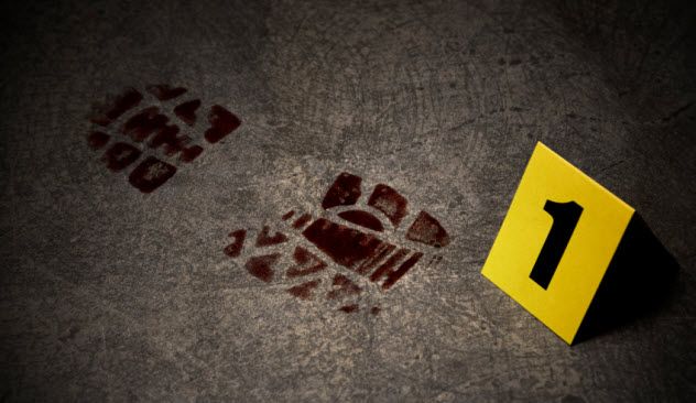 4-bloody-mans-footprint_000021446918_Small