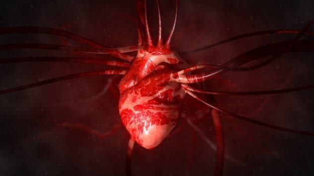 1a-human-heart-109721217