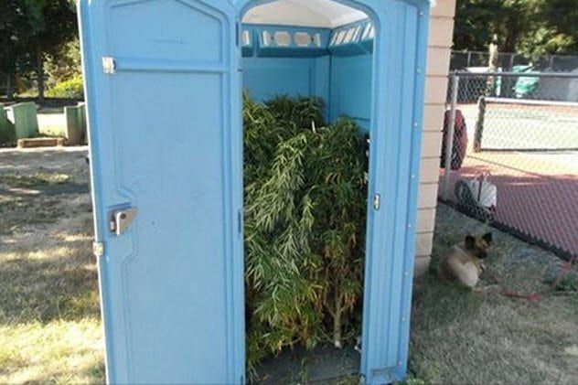 8-pot-in-potty