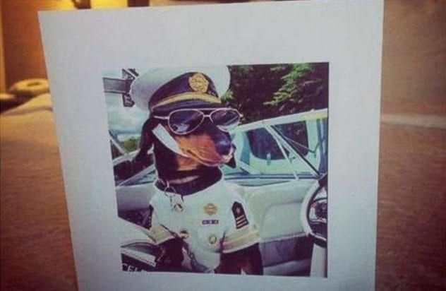 Dog Captain Pic