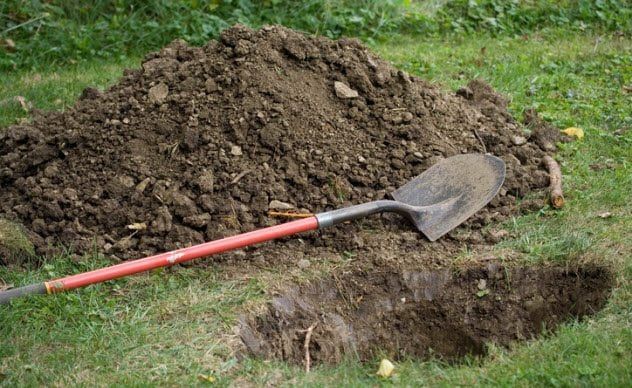 6a-digging-grave-118366191