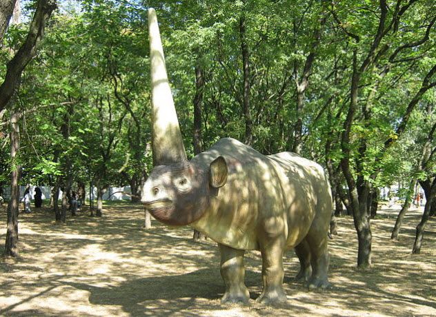 4-elasmo0
