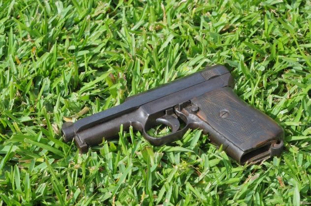 Gun on Grass