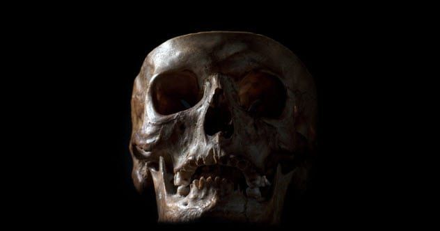 3a-human-skull-514938514
