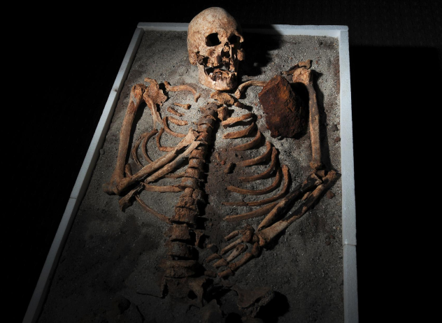 Vampire Skeleton