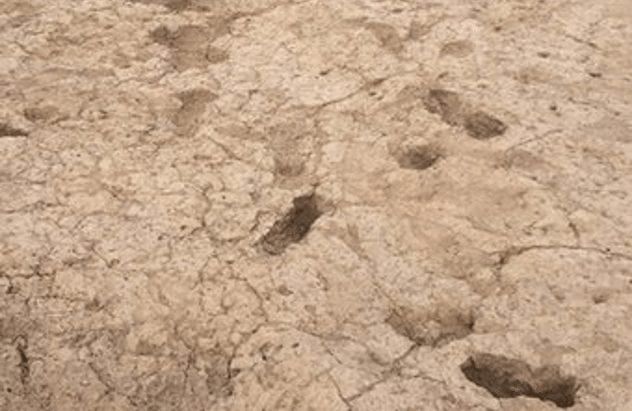 hohokam-prints