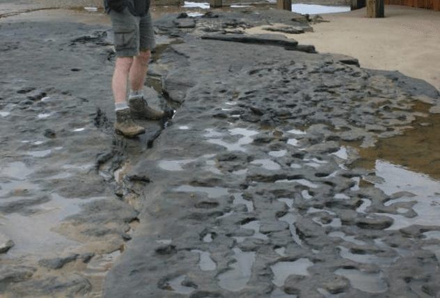 happisburgh-prints