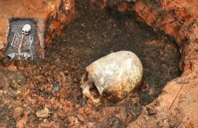 Long-Skulled Skeleton