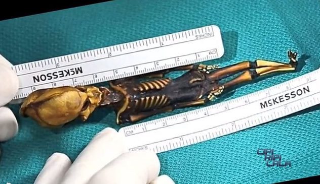 Atacama Skeleton