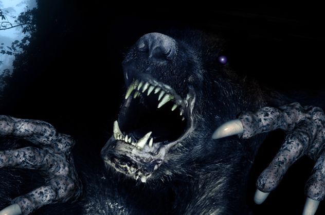 7- The werewolf and the silver bullet