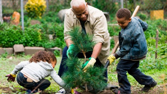 A grandfather and his two grandchildren planting a tree together.