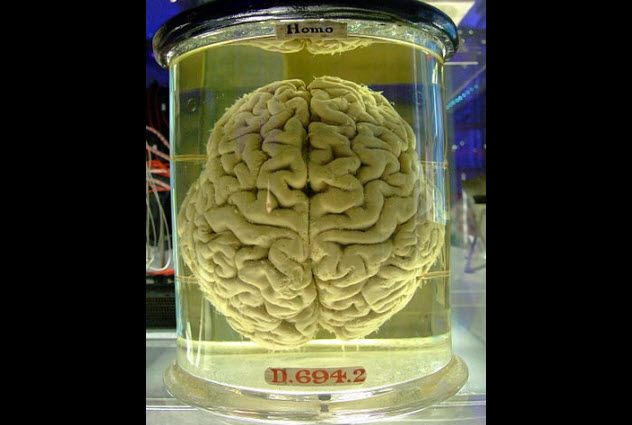 1-brain-in-jar