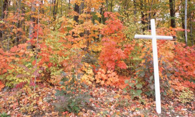 5-isolated-grave-87582177