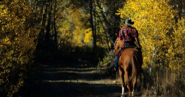 9-riding-in-woods-200367942-001