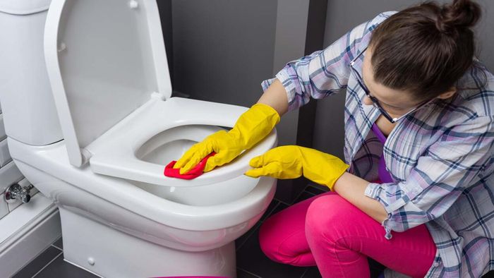 TikTok’s 'Overloading' Trend: Why It’s a Poor Choice for Toilet Cleaning