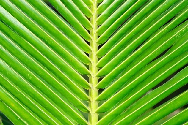 iStock_000086527371_Small
